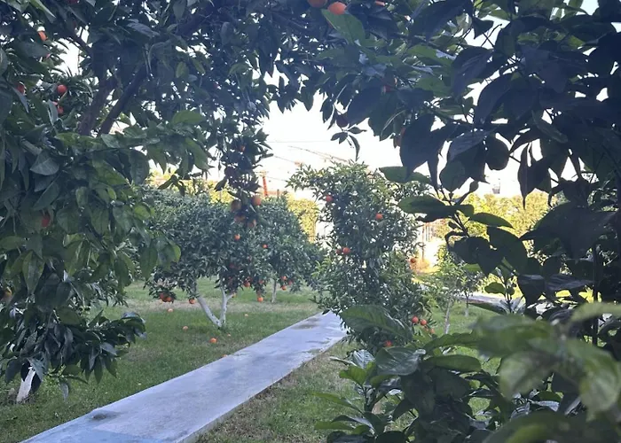 Hébergement de vacances Xhulia's *